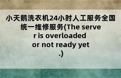 小天鹅洗衣机24小时人工服务全国统一维修服务(The server is overloaded or not ready yet.)